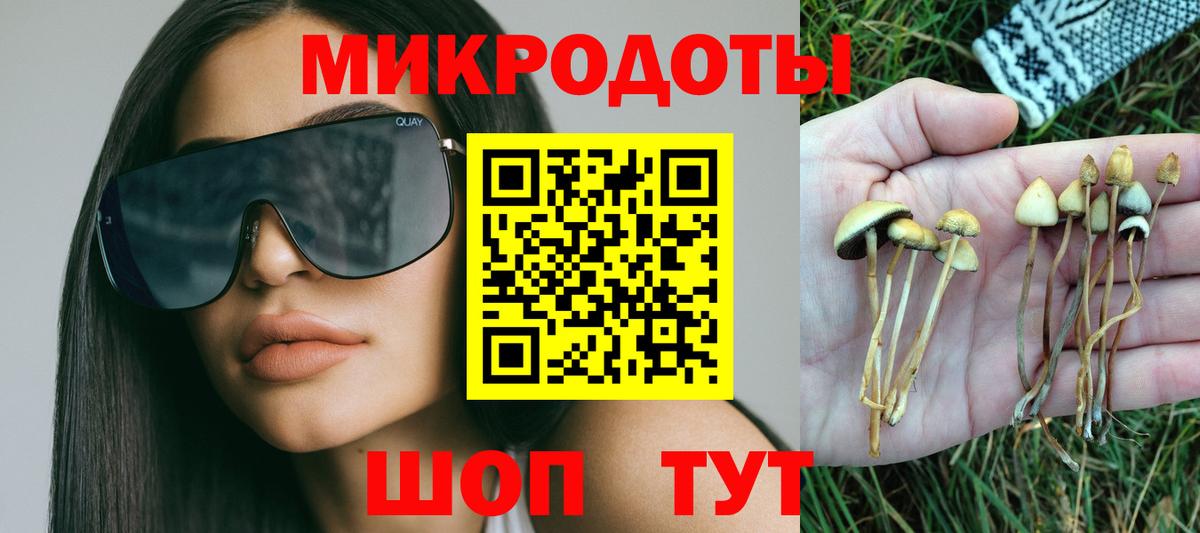 Саянск  Псилоцибиновые грибы MAGIC MUSHROOMS  Вход с VPN 